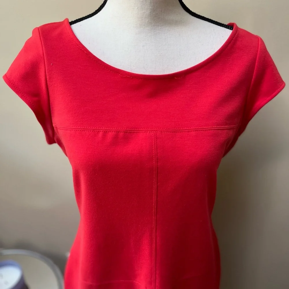 Banana Republic Red Sheath Dress with Dolman Cap Sleeves